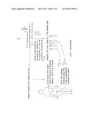 SYSTEM FOR IMMUNOTHERAPY TARGETING TUMOR PROPAGATION AND PROGRESSION diagram and image