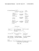 SYSTEM FOR IMMUNOTHERAPY TARGETING TUMOR PROPAGATION AND PROGRESSION diagram and image