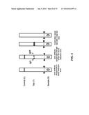 SENSITIVE DIAGNOSTIC ASSAY FOR INCLUSION BODY MYSITIS diagram and image