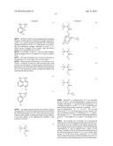 SHRINK MATERIAL AND PATTERN FORMING PROCESS diagram and image