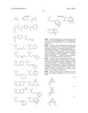 SHRINK MATERIAL AND PATTERN FORMING PROCESS diagram and image