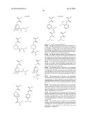 SHRINK MATERIAL AND PATTERN FORMING PROCESS diagram and image