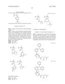 SHRINK MATERIAL AND PATTERN FORMING PROCESS diagram and image