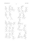 SHRINK MATERIAL AND PATTERN FORMING PROCESS diagram and image