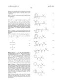 SHRINK MATERIAL AND PATTERN FORMING PROCESS diagram and image