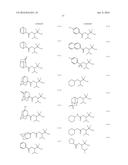 SHRINK MATERIAL AND PATTERN FORMING PROCESS diagram and image