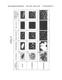 IMAGE PROCESSING DEVICE AND STORAGE MEDIUM FOR IMAGE PROCESSING diagram and image