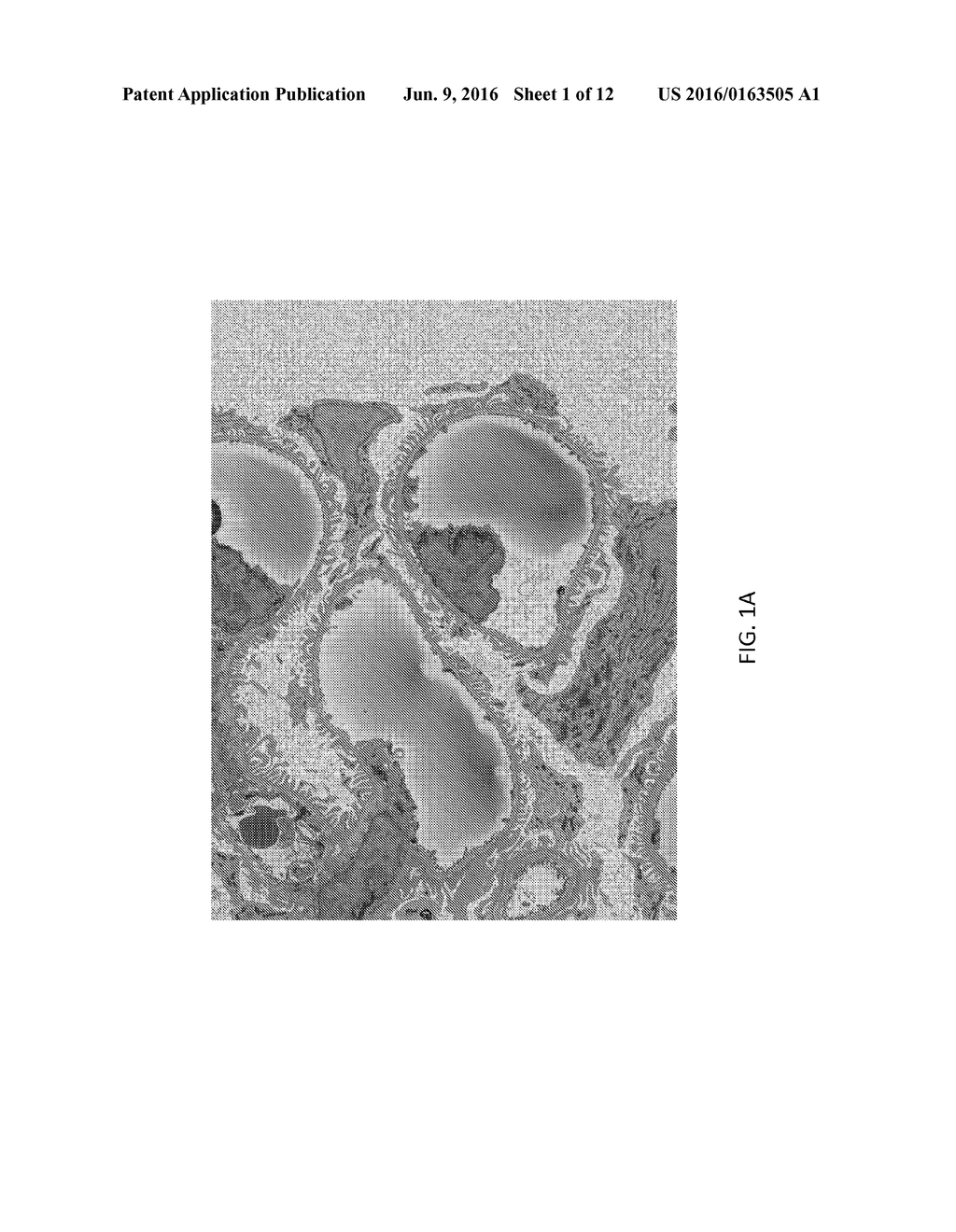 HIGHLY CONDUCTIVE NANOCOMPOSITE, BIOLOGICAL AND SMALL MOLECULE MATERIALS     FOR ENHANCED RESIN CONDUCTIVITY - diagram, schematic, and image 02