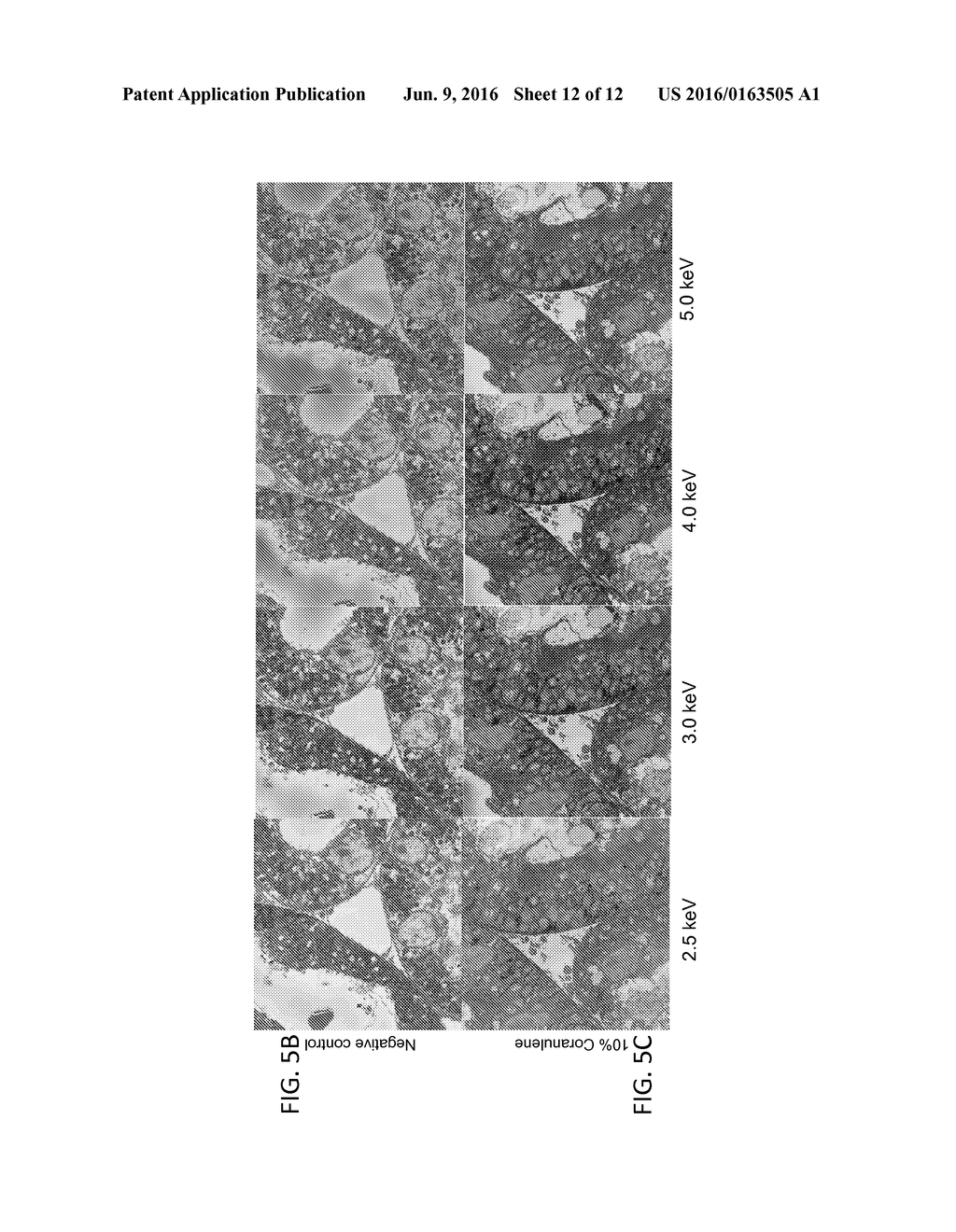 HIGHLY CONDUCTIVE NANOCOMPOSITE, BIOLOGICAL AND SMALL MOLECULE MATERIALS     FOR ENHANCED RESIN CONDUCTIVITY - diagram, schematic, and image 13