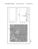 METHOD FOR COMPUTER-ASSISTED ANALYSIS OF ONE OR MORE TISSUE SECTIONS OF     THE HUMAN OR ANIMAL BODY diagram and image