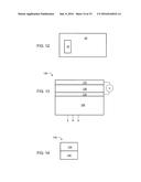 SELF-ASSEMBLED PEPTIDE NUCLEIC ACIDS diagram and image