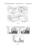 HIGH ENERGY DENSITY SILICIDE-AIR BATTERIES diagram and image