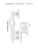 WAVELENGTH SELECTIVE SWITCH HAVING INTEGRATED CHANNEL MONITOR diagram and image