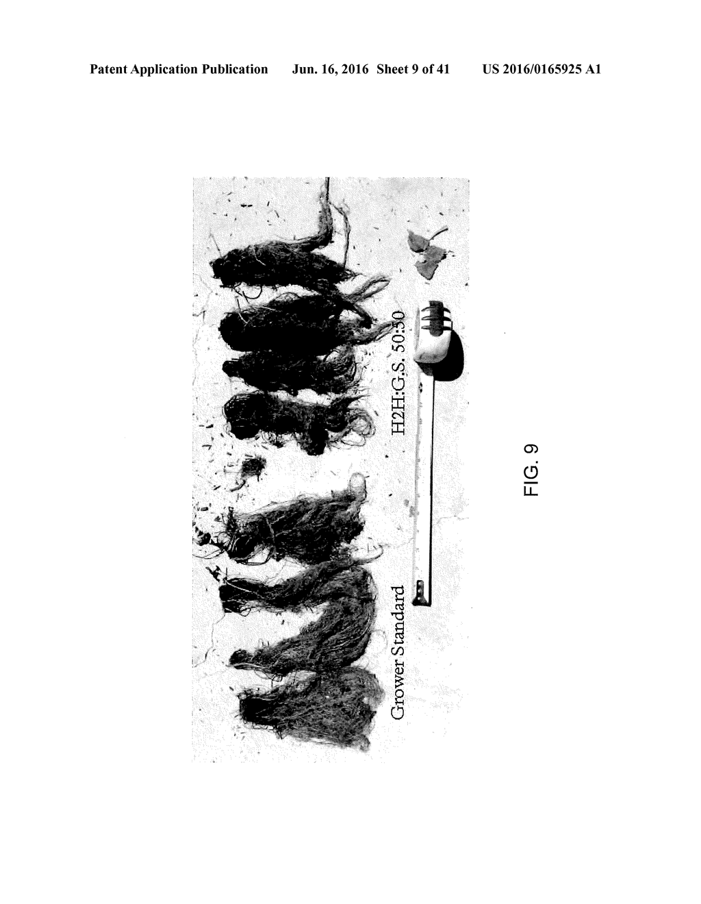 NUTRIENT RICH COMPOSITIONS - diagram, schematic, and image 10