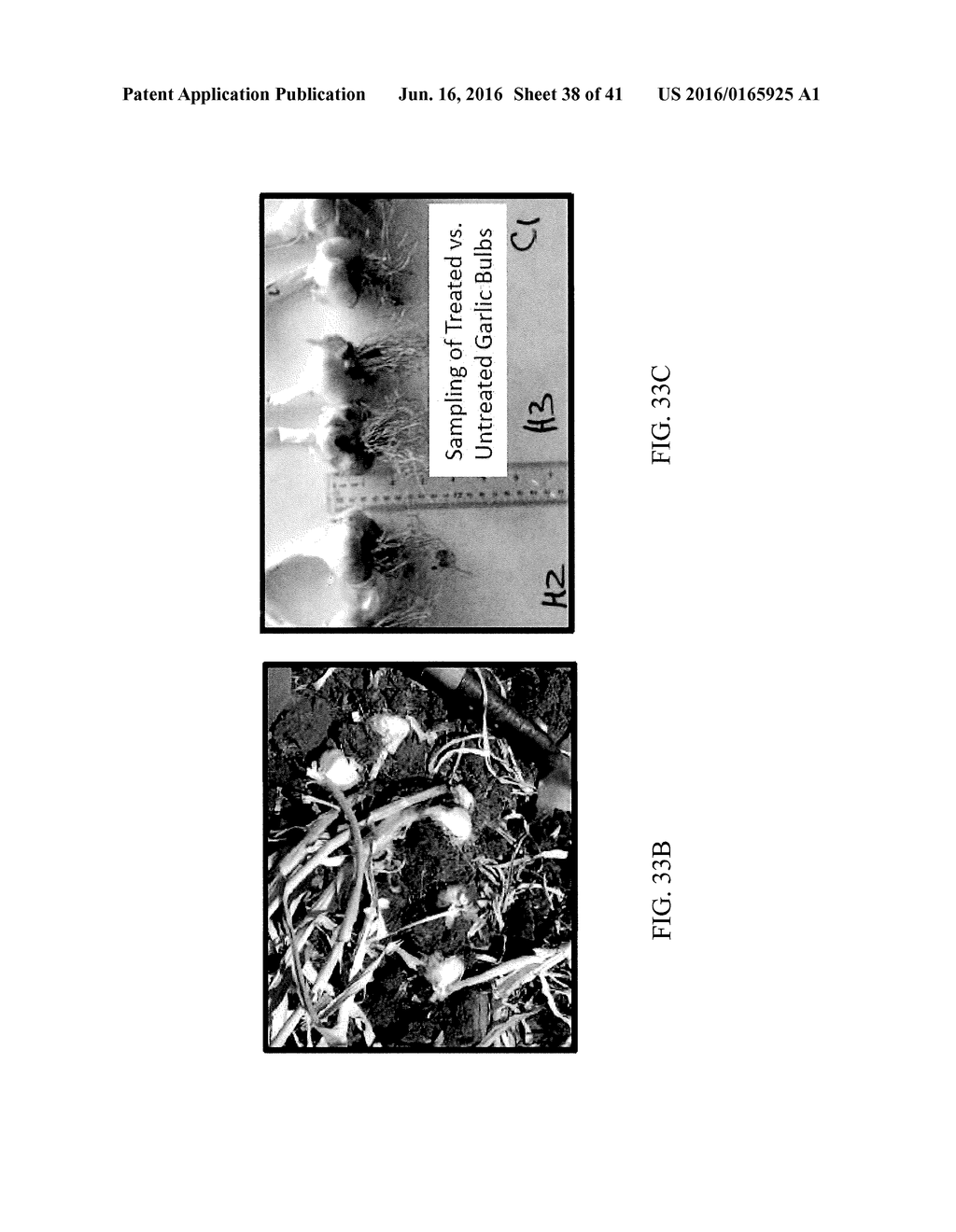 NUTRIENT RICH COMPOSITIONS - diagram, schematic, and image 39