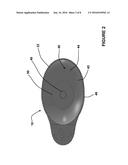 POULTRY SEASONING AND COOKING DEVICE diagram and image