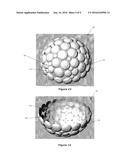 PROTECTIVE HEADWEAR diagram and image