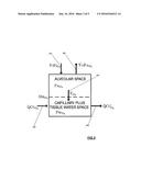 LUNG FUNCTION ANALYSIS  METHOD AND APPARATUS diagram and image