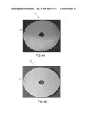 Implantable Sealable Member with Mesh Layer diagram and image