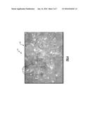 SURGICAL IMPLANT WITH POROUS REGION diagram and image