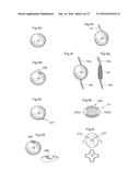 DEVICE FOR TREATING OBESITY diagram and image