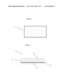 ADHESIVE ABSORPTIVE SKIN PAD diagram and image