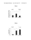 Material for Treatment of Cerebral Infarction diagram and image