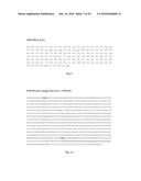 COMPOSITION AND VACCINE FOR TREATING PROSTATE CANCER diagram and image