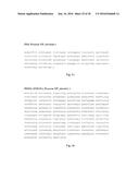 COMPOSITION AND VACCINE FOR TREATING PROSTATE CANCER diagram and image