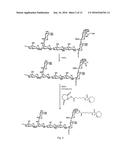 Cycloalkyne Derivatized Saccharides diagram and image