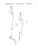 Cycloalkyne Derivatized Saccharides diagram and image