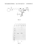 Cycloalkyne Derivatized Saccharides diagram and image