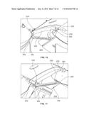 LIGHT-LIMITING HEADER ASSEMBLY FOR A TRANSITION AREA WITHIN AN INTERIOR     CABIN OF AN AIRCRAFT diagram and image