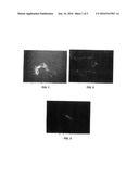 METHOD OF MANUFACTURING CARBON NANOTUBES AND FIBERS USING CATALYTIC     MAGNESIUM OXIDE NANOPARTICLES diagram and image