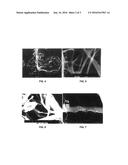 METHOD OF MANUFACTURING CARBON NANOTUBES AND FIBERS USING CATALYTIC     MAGNESIUM OXIDE NANOPARTICLES diagram and image