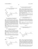 BIARYL DERIVATIVES AS GPR120 AGONISTS diagram and image