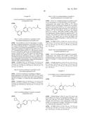 BIARYL DERIVATIVES AS GPR120 AGONISTS diagram and image