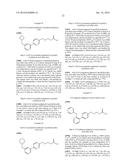 BIARYL DERIVATIVES AS GPR120 AGONISTS diagram and image