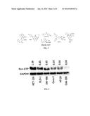 METHOD OF TREATING OR PREVENTING RAS-MEDIATED DISEASES diagram and image