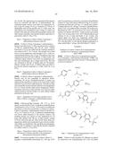 COMPOUNDS AND METHODS FOR KINASE MODULATION, AND INDICATIONS THEREFOR diagram and image