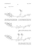 Conjugates Containing Hydrophilic Spacer Linkers diagram and image