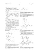 Conjugates Containing Hydrophilic Spacer Linkers diagram and image