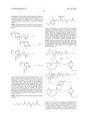 Conjugates Containing Hydrophilic Spacer Linkers diagram and image