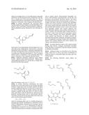 Conjugates Containing Hydrophilic Spacer Linkers diagram and image