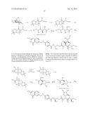 Conjugates Containing Hydrophilic Spacer Linkers diagram and image