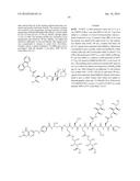 Conjugates Containing Hydrophilic Spacer Linkers diagram and image