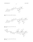 Conjugates Containing Hydrophilic Spacer Linkers diagram and image