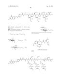 Conjugates Containing Hydrophilic Spacer Linkers diagram and image