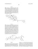 Conjugates Containing Hydrophilic Spacer Linkers diagram and image