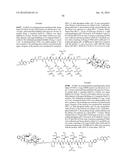 Conjugates Containing Hydrophilic Spacer Linkers diagram and image